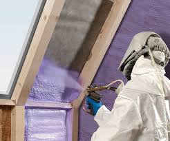 Best Eco-Friendly or Green Insulation Solutions  in Vicksburg, MI