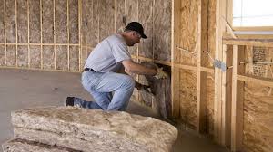 Best Pipe and Duct Insulation  in Vicksburg, MI