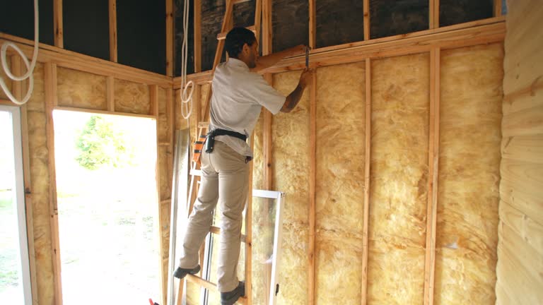 Best Insulation Air Sealing  in Vicksburg, MI